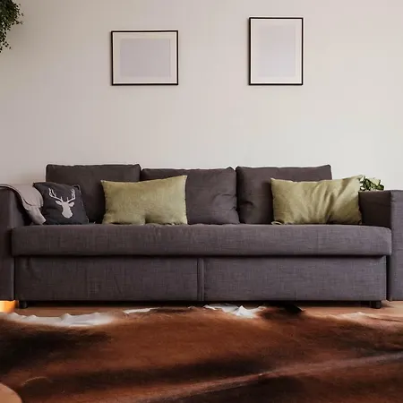 Apartment Alte Mainbruecke
